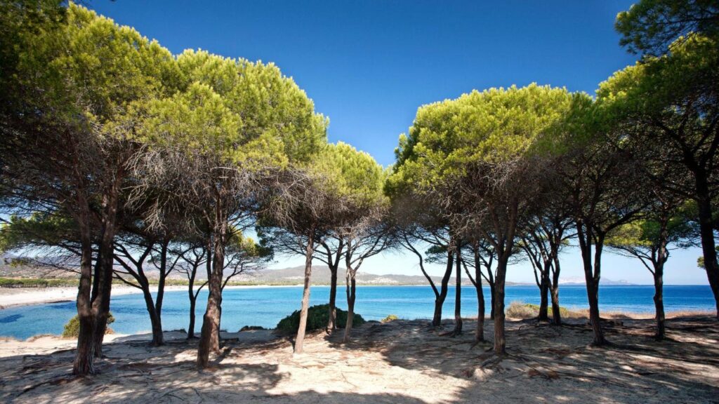 Le migliori spiagge a pochi passi!